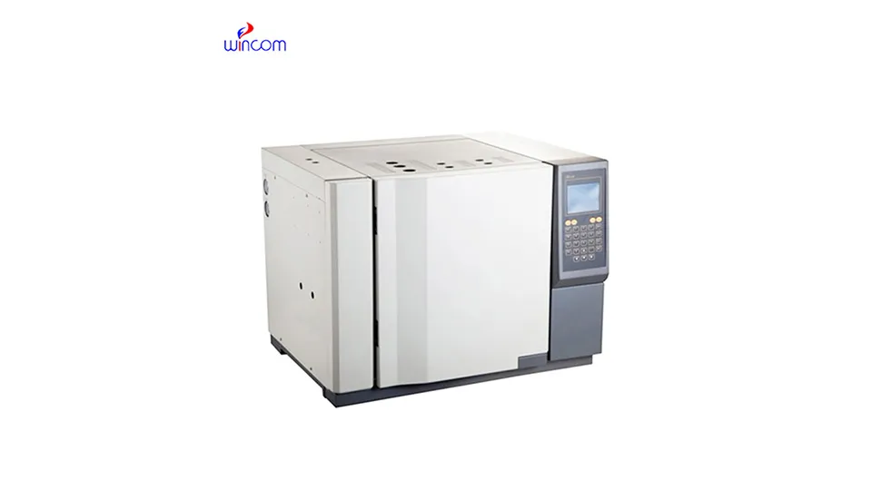 Oorsig van gaschromatograafmetingsinhoud: omgewing, voedsel en chemiese industrie