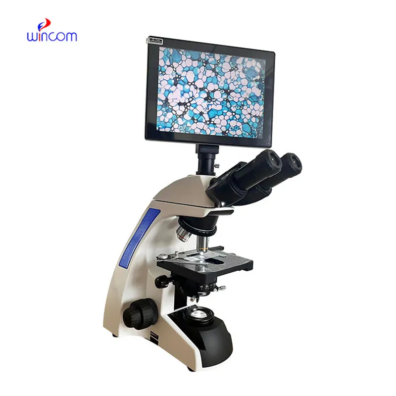 Applications of  diagnostic ultrasound bladder scanner bvi 3000